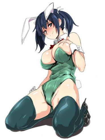 Cowgirl 【Secondary Erotic】Here Is The Erotic Image Of A Girl With A Stubgy Body Who Cosplayed A Bunny Girl Athletic