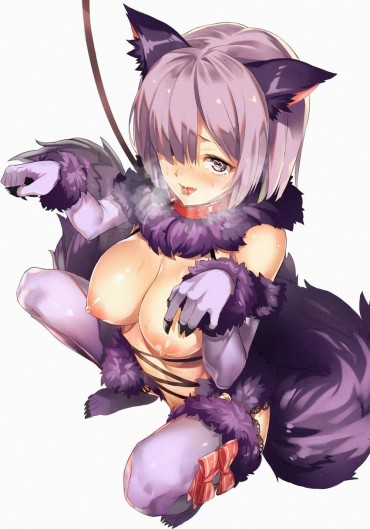 Scissoring [Fate Grand Order] Dangerous Beasts Collection Pt.1 Doggy