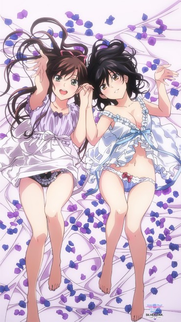 Analplay [Strike The Blood] Heroine's Erotic Image Such As Yukina Himehiiragi Part 32 No Condom