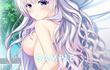 Gay Hairy PS4 / Switch Version [after School Cinderella] Girl's Erotic Naked Figure Full View Erotic Store Privilege Illustration Hardcore