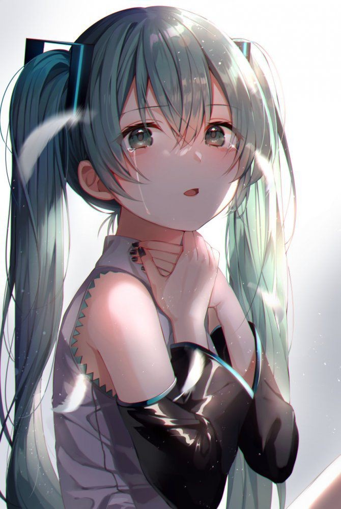 Hairy 【Secondary】Hatsune Miku Image Part 6 Foda