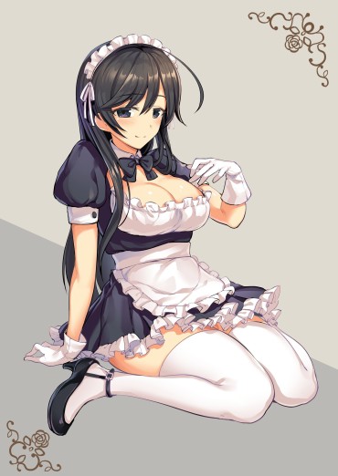 Small Two-dimensional Erotic Image That I Want Such A Cute Maid To Nurse Variously Because I Am Not Physically Ill Whipping