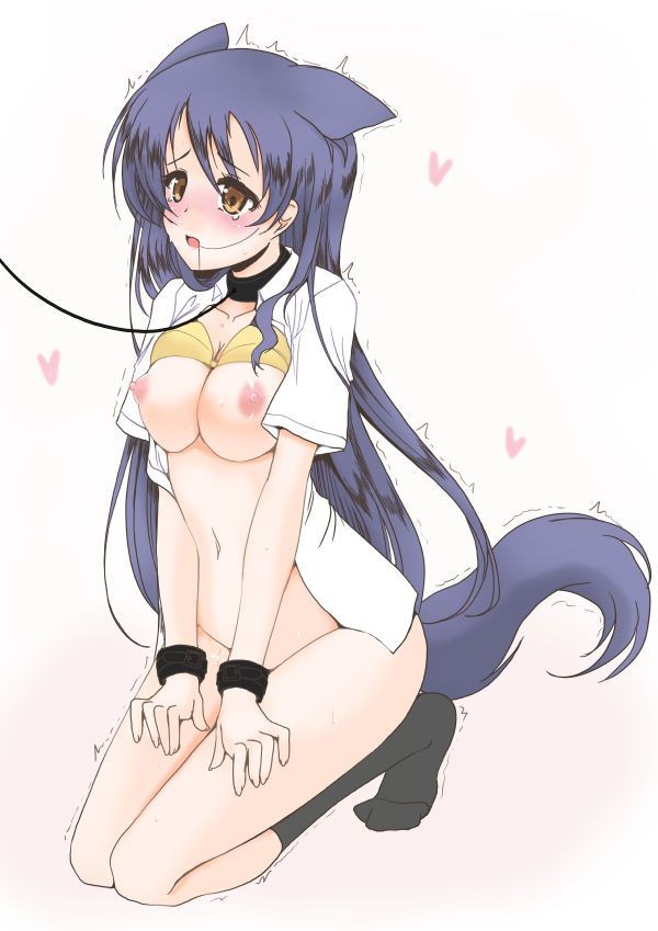 Casal Erotic Image A Common Development When You Have A Delusion That Etches With Sonoda Umi! (Love Live!) ) Italian