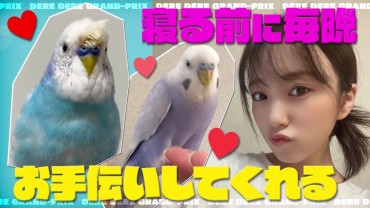 Cock Suckers 【Image】Idol, Make Your Pet Help With Your Daily Routine Before Going To Bed Wwwwwww Old
