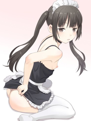 Virtual Moe Illustration Of Twin Tails Perfect Teen