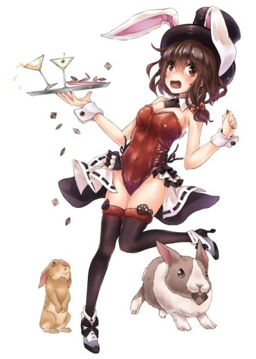 Tranny It Is An Erotic Image Of A Bunny Girl! Gay Orgy