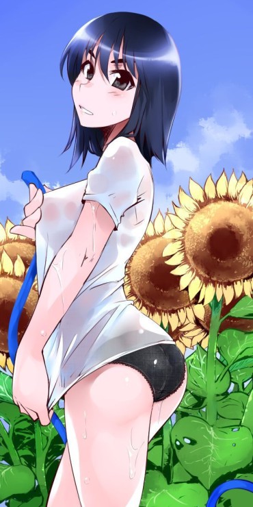 Edging Suo Mikoto's As Much As You Like Secondary Erotic Image [school Rumble] Tetas