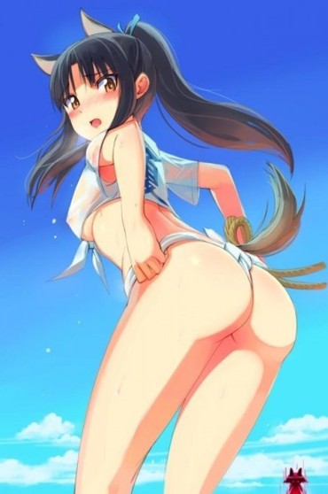 Brunette 【With Images】The Impact Image Of Shizuka Hattori Leaked! ? (Strike Witches) Step