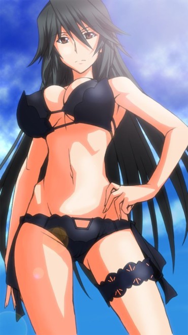 Boss 【Infinite Stratos】Cute Erotica Image Summary That Pulls Out In The Echi Of Woven Spot 1000 Winters Freckles