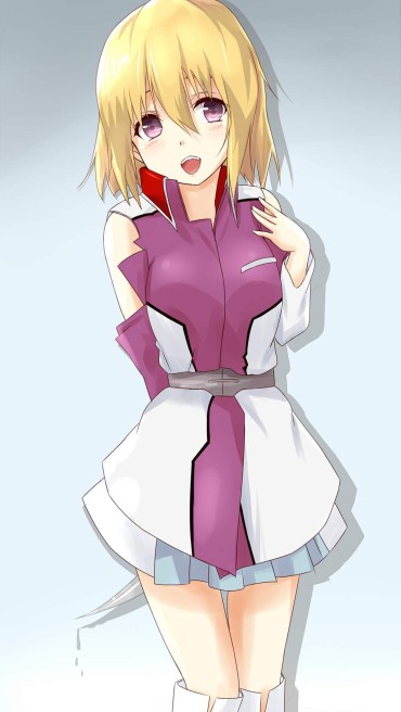 Gay Medic [Mobile Suit Gundam SEED] Stella Luce's Outing Secondary Erotic Image Summary Huge Boobs