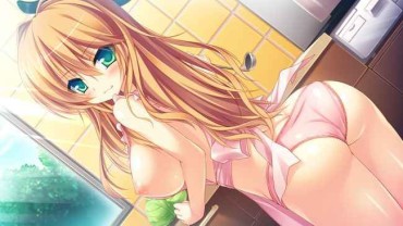 Pussyeating [Erotic Anime Summary] Cooking Interruption And Waited For Echi Start! Images Of Naked Apron Beauties And Beautiful Girls [30 Sheets] Cuckold