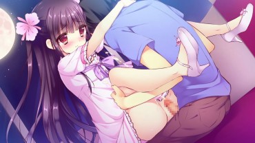 Monster Two-dimensional Erotic Image Having Sex While Staring And Kissing In A Face-to-face Sitting Position With A Loli Girl Sweet