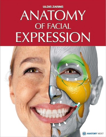 8teenxxx Uldis Zarins-Anatomy Of Facial Expression-Exonicus [English] 面部表情艺用解剖 [英文版] Gang