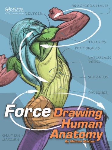 Doggy Style Force. Drawing Human Anatomy – Michael D. Mattesi [Digital] Domina