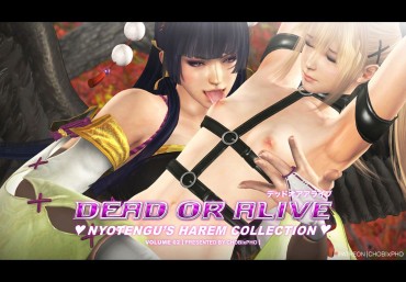 Good DOA / NYOTENGU'S HAREM COLLECTION 2 (CHOBIxPHO) デッドオアアライブ Doggystyle