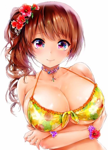 Maid Busty Beautiful Girl Image Wearing A 2D Bikini 7 Imvu