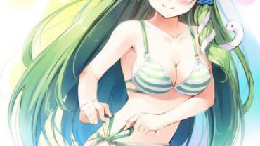 Public Swimsuit Erotic Image Comprehensive Thread Gets