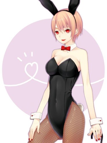 Emo Gay Bunny Girl's Image Warehouse Is Here! Officesex