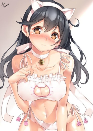 Trimmed 【Secondary】Erotic Image Of Delicate "cat Lingerie" That Is Cute But Asked If It Is Erotic Thong