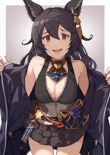 Male And Obscene Images Of Granblue Fantasy! This