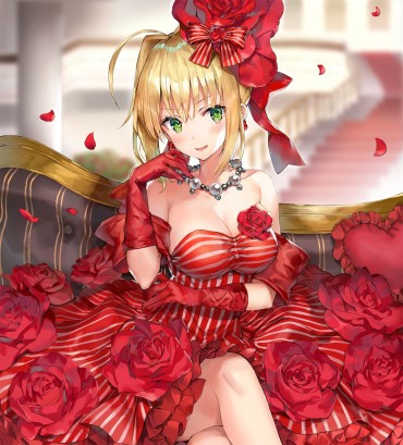 Couples 【Secondary】 Fate/Grand Order (Fate/EXTRA-CCC), Nero Claudius' Love Images Summary! No.13 [20 Sheets] Tied