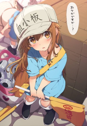 Suckingdick [Secondary] Working Cells, Platelets Too Cute Image Summary! No.02 [16 Sheets] High Definition