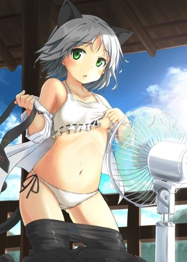 Whore 【Strike Witches】Summary Of Cute Picture Furnace Images Of Sanya V. Litvjak Orgy