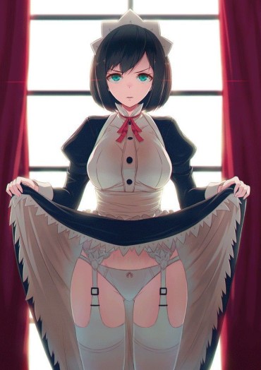 Self 【Maid】Paste The Image Of The Maid Who Wants You To Serve Part 25 Hardcorend