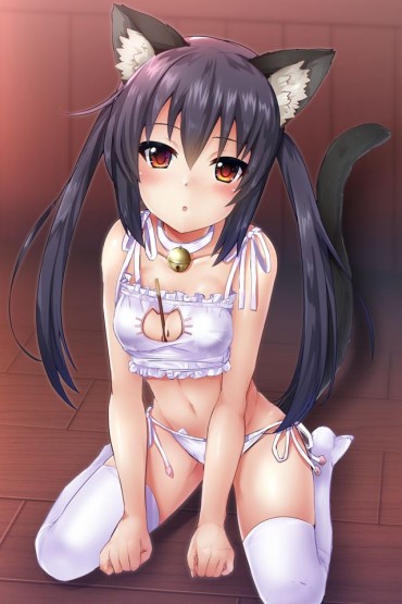 Brunettes Twin Tails: Images Of Girls With Twin Tail Hairstyles Part 34 Perverted