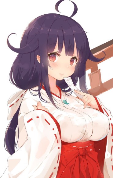 Perfect 【Shrine Maiden】Please Image Of A Girl In Neat Shrine Maiden Clothes Part 18 Girls