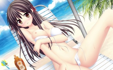Aussie Two-dimensional Erotic Image For Those Who Want To See Two-dimensional Erotic Images Of Swimsuits Of Specially Cute Girls Because It Is New Year's Eve Behind