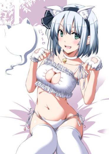 Amateur Blowjob [Secondary] Erotic Image Of The Game Underwear "cat Lingerie" For A Close Girl Who Is More Cute Than Erokawa Underwear Cachonda