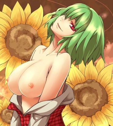 Foot Fetish [Touhou Project] Erotic Image Of Sunflower Sister Fumi Yuka! Rough Fucking