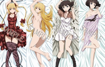 Exhibition [Darwin's Game] Schka And Rain's Erotic Naked Figure And Erotic Costumes Such As Erotic Hug Pillow! One