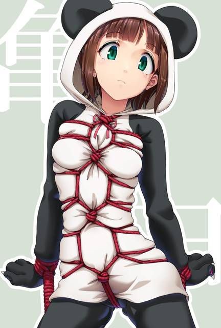 Cumshot Image Summary Of Idolmaster Haruka Amami (Haruka Kumaneko, Panda Kos) Joi