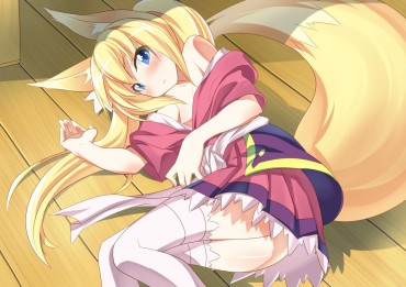 English 2D Fox Ear Daughter Erotic Image 48 Photos That Can Crush The Cat Ear Kitchen And Dog Ear Kitchen Assfuck