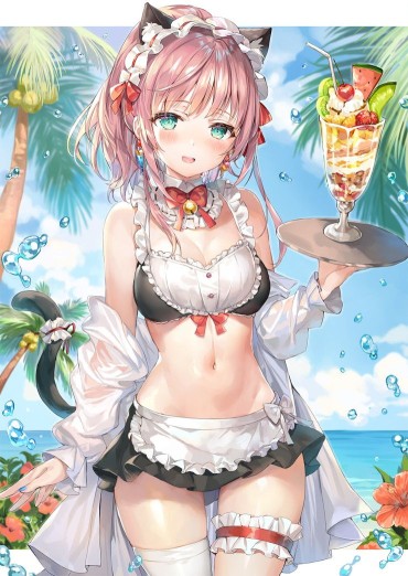 Dress [Micro Erotic] Girl In A Maid Bikini And Erotic Maid Clothes [secondary] Bukkake