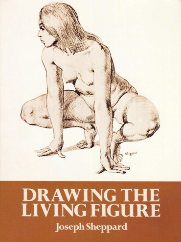 Shemale Sex Drawing The Living Figure – Joseph Sheppard J.夏帕德动态人体解剖 – J.夏帕德[英文版] Concha