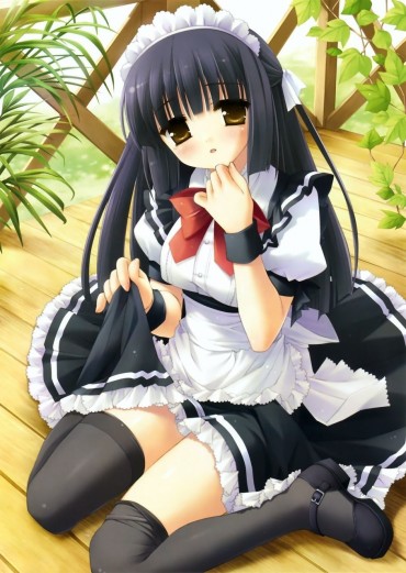 Homosexual [Maid] Erotica Image Summary Of Two-dimensional Maid Beautiful Girl. Vol.31 Gordibuena