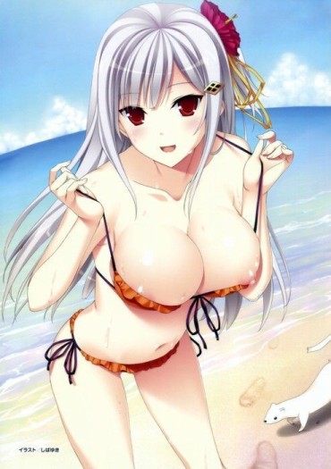 Load [Secondary] (Swimsuit) Bikini Girl's Pulling Image 13 Petite Teen