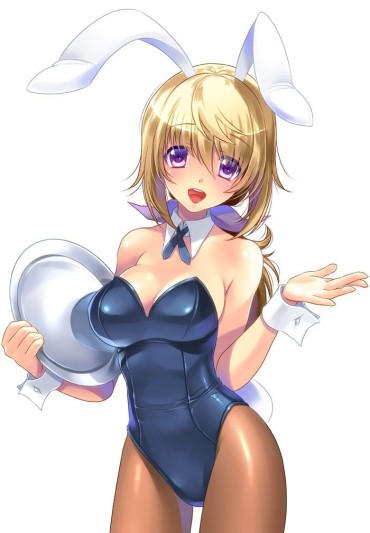 Nice Tits I Want To See The Lewd Image Of Bunny-chan! ! Unshaved