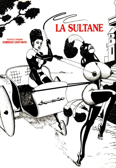 Spy Cam [Dominique St-Marc] La Sultane [French] Gay 3some