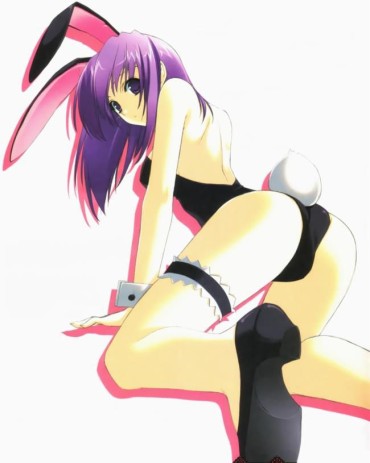 Tranny In The Secondary Erotic Picture Of The Bunny Girl! Fucking Girls