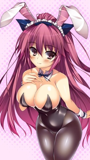 Real Two-dimensional Erotic Images Of Bunny Girl. Brother