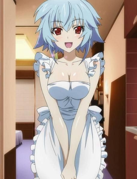 Hot Sluts IS-Infinite Stratos-[No More] 16 Sheets Passion