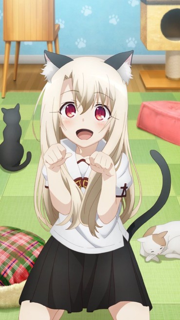 Jerk Off Ilya "Why Should I Become A Cat In A Cat Café? You're A Cat!? !? ← This Wwwwwww Doctor