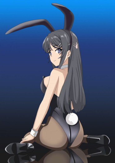 Asshole Bunny Girl Erotic Pictures I'm Going To Release The Folder. Officesex