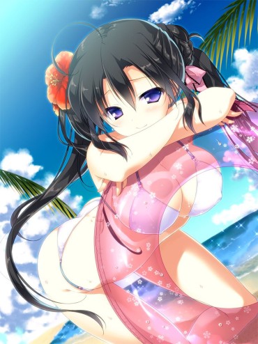 Sofa The Swimsuit That Wants To See The Image Of A Swimsuit Is Lewd. That Cloth Area Skirt