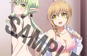 Peludo Anime [Goblin Slayer] BD/DVD Store Benefits And Erotic Illustrations Of Girls Swimsuit And Underwear Fucked Hard