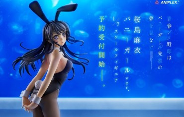 Butt "Youth Pig Does Not Dream Of A Bunny Girl Seniors" Erotic Figure Of The Bunny Figure Of Mai Sakurajima! Free Rough Sex